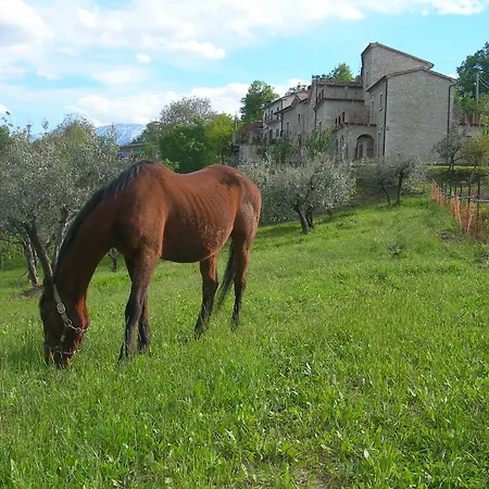 Borgo San Martino مزرعة للإقامة *