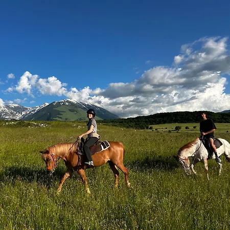 Farm stay Agriturismo Borgo San Martino