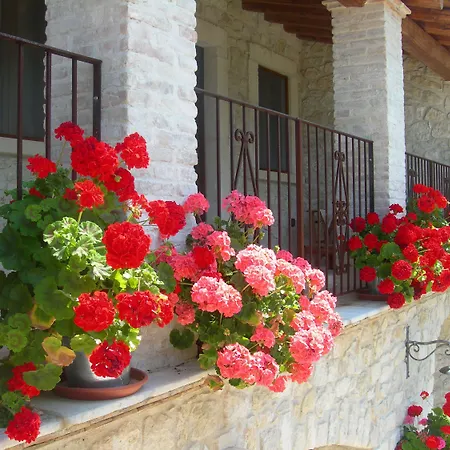 Farm stay Agriturismo Borgo San Martino *