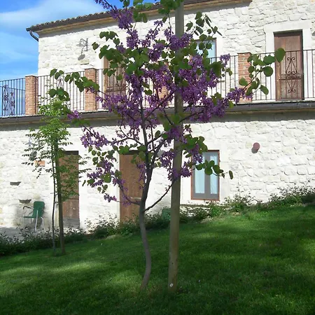 Borgo San Martino