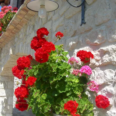 Agriturismo Borgo San Martino *