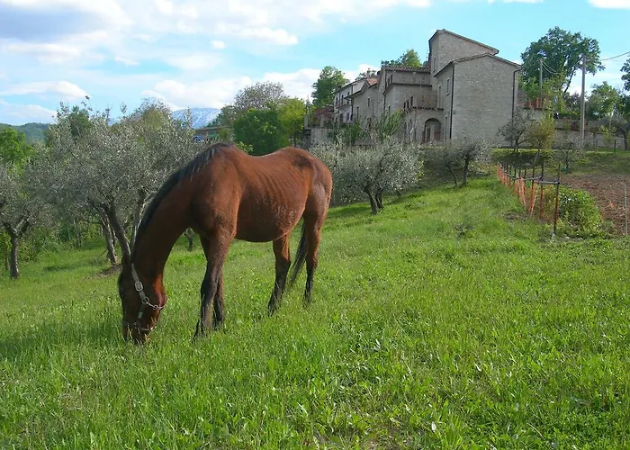 Borgo San Martino Farmház *