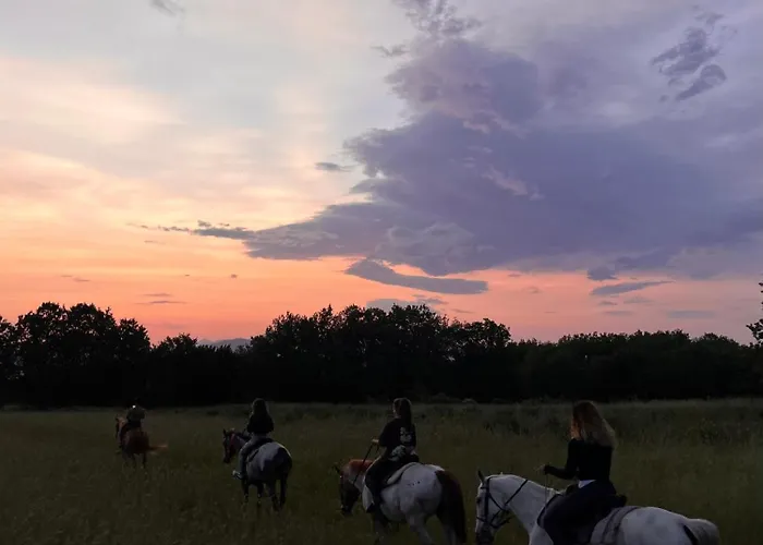 Agriturismo Borgo San Martino