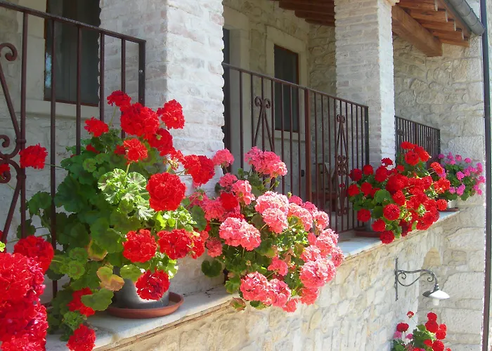 Farmház Borgo San Martino *