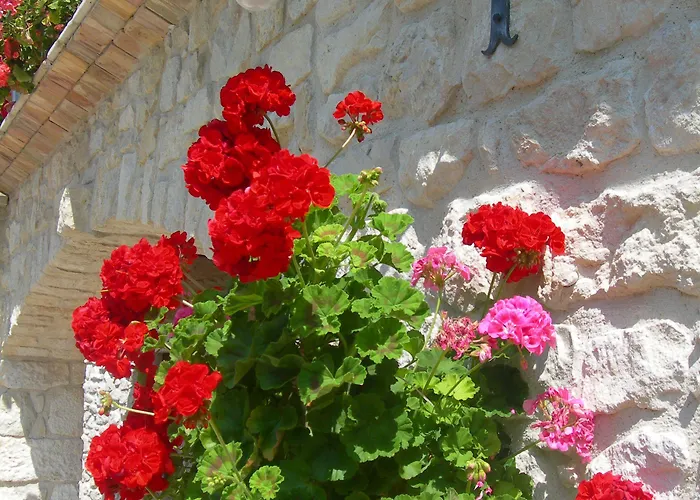 Agriturismo Borgo San Martino Farm stay Abbateggio