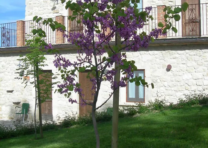 Agriturismo Borgo San Martino